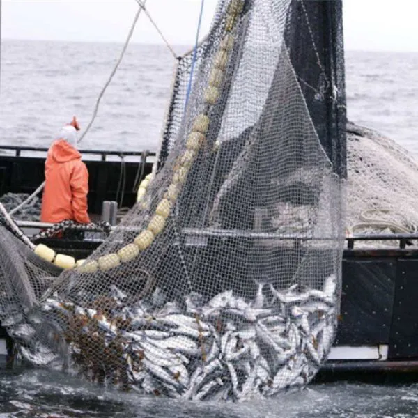 product-600-600 product-600-600